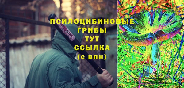 винт Аркадак