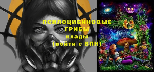 бошки Арсеньев