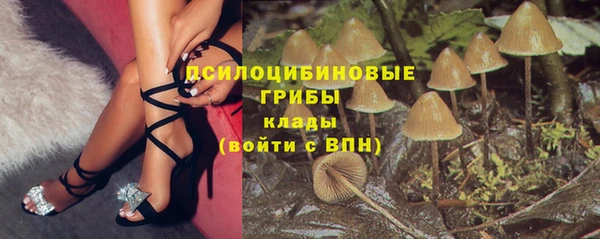 винт Аркадак