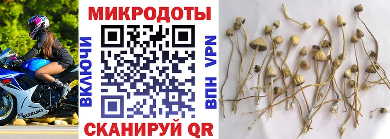 кракен как войти  Камбарка  Псилоцибиновые грибы Cubensis  купить наркотик 